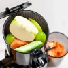 Extractor de Jugos Prensado en Frío Gris SJ-026 Kalter
