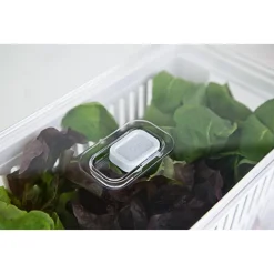 Organizador para Refrigerador con Cesta Clear Fresh OU