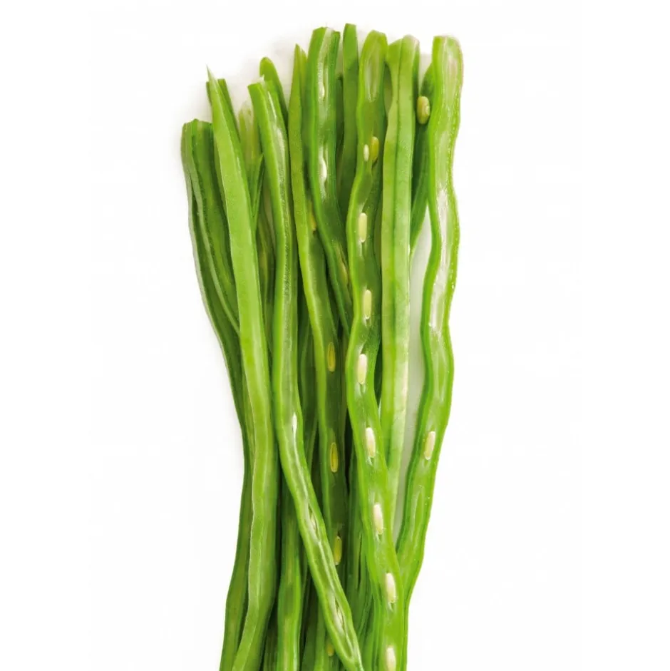 Pelador para Porotos Verdes Ibili