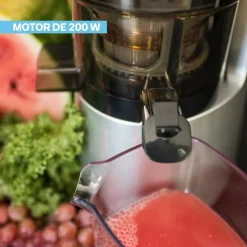 Prensadora de Jugo En Frío Slow Juicer Pro EasyWays
