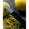 Rallador de Limones Arcos
