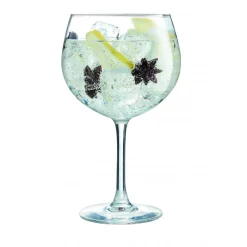 Set de 6 Copas Ballon Gin 700 ml Vina Arcoroc