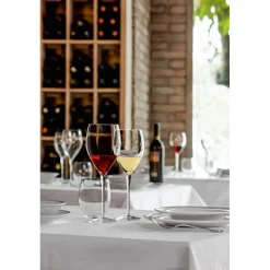 Set de 6 Copas 460ml Magnifico Luigi Bormioli